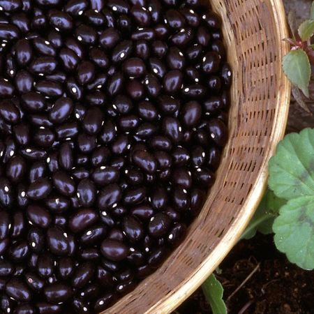 فيلا Arraspine أستيغاراغا المظهر الخارجي الصورة