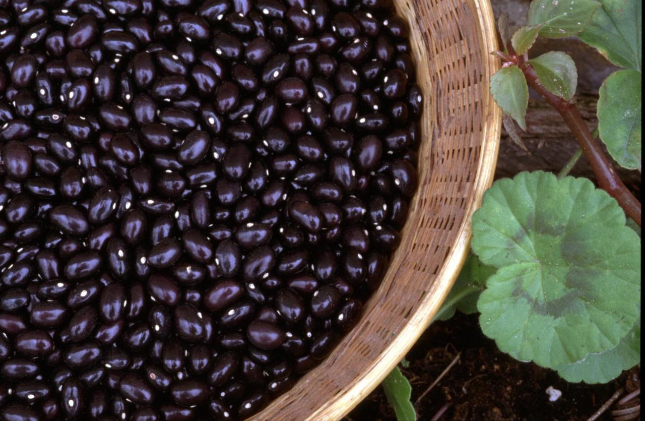فيلا Arraspine أستيغاراغا المظهر الخارجي الصورة